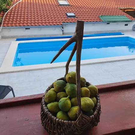 Kova * Stari Grad