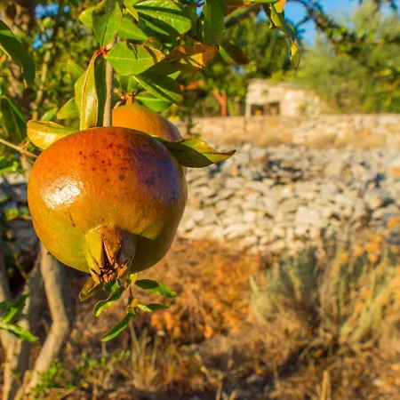 Apartament Kova Stari Grad (Hvar)